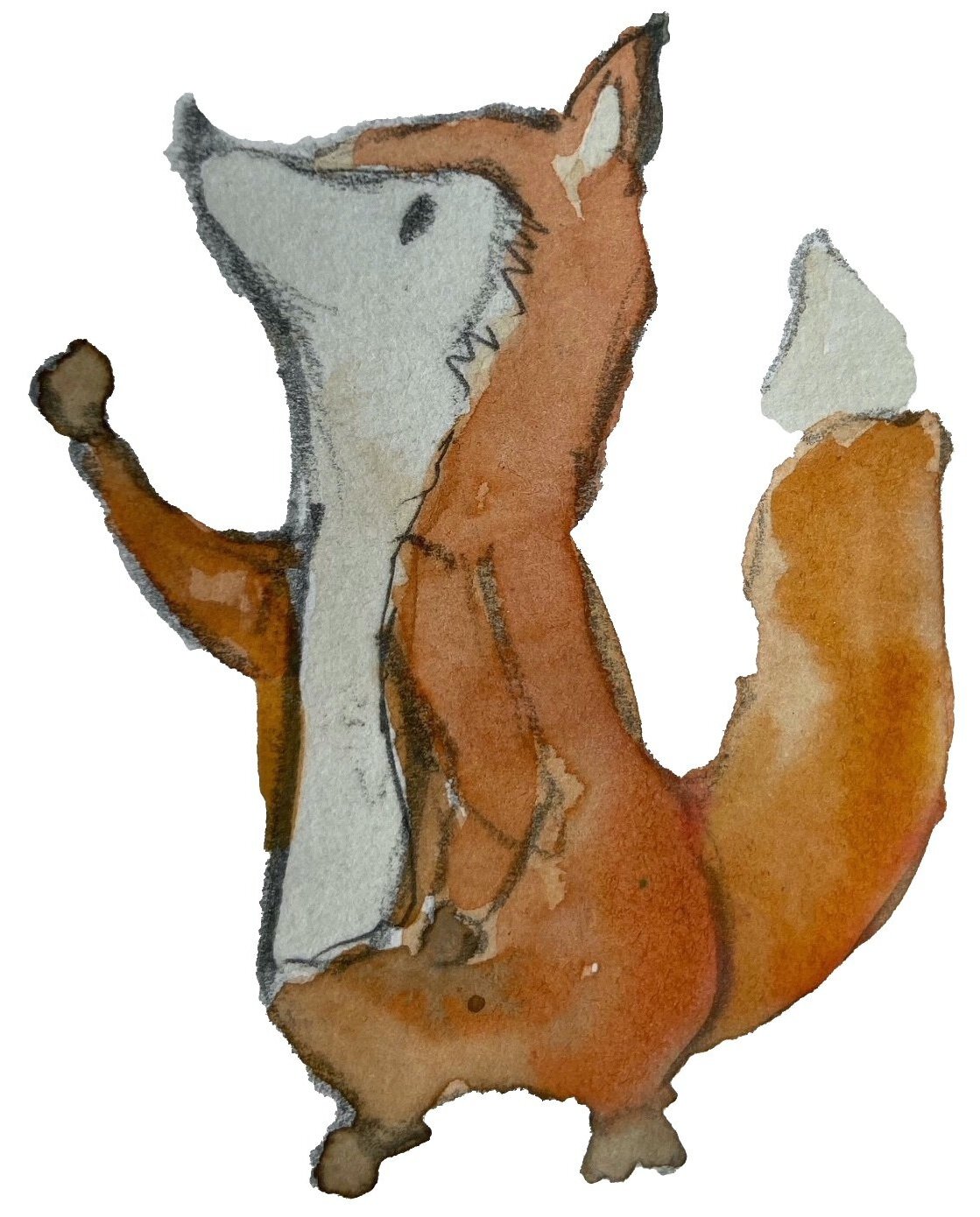 Fox illustration