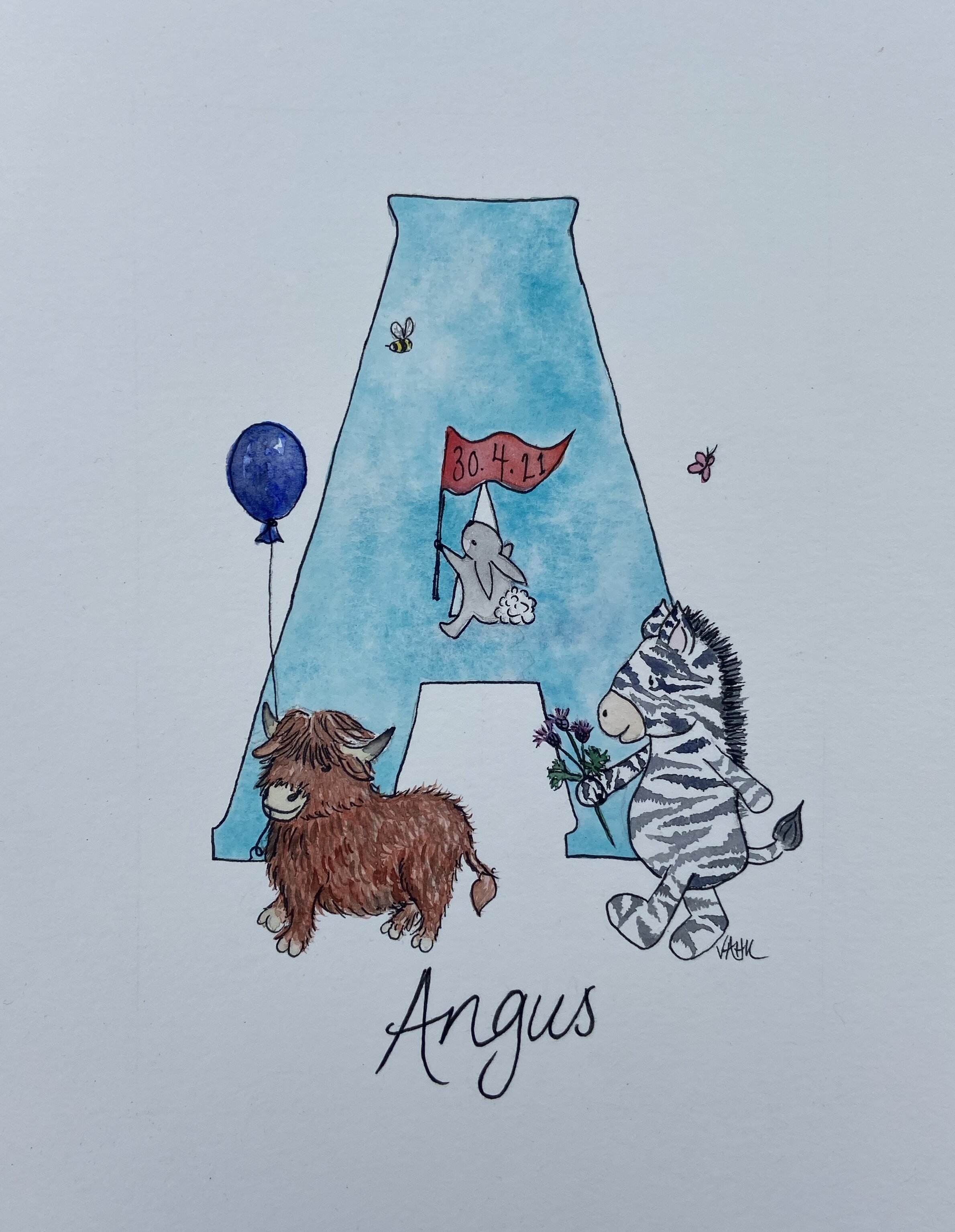 Angus illustration