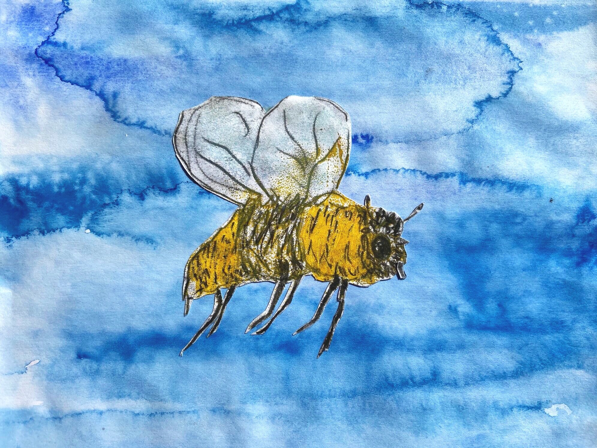 Bee illustration