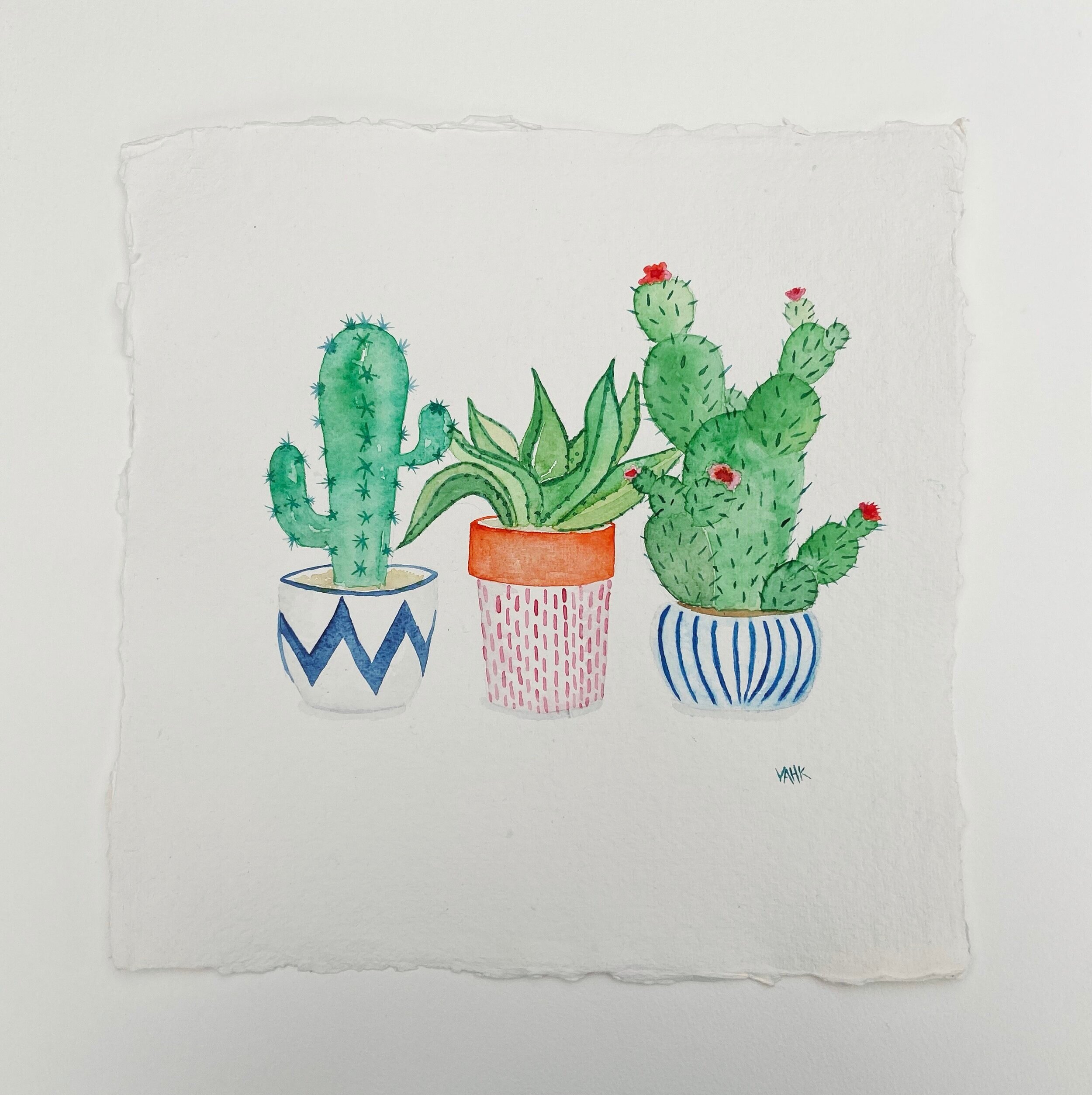 Cactus illustration