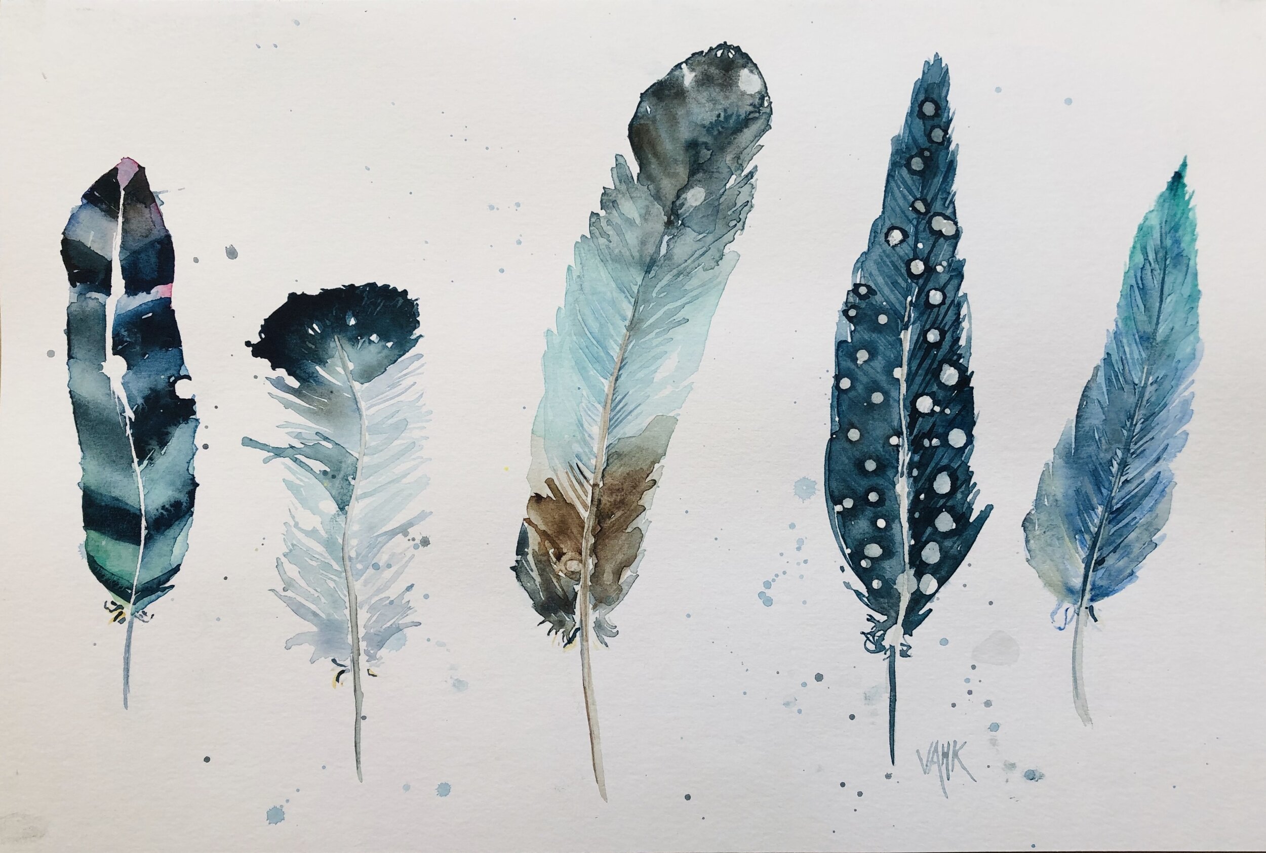 Feathers illustration