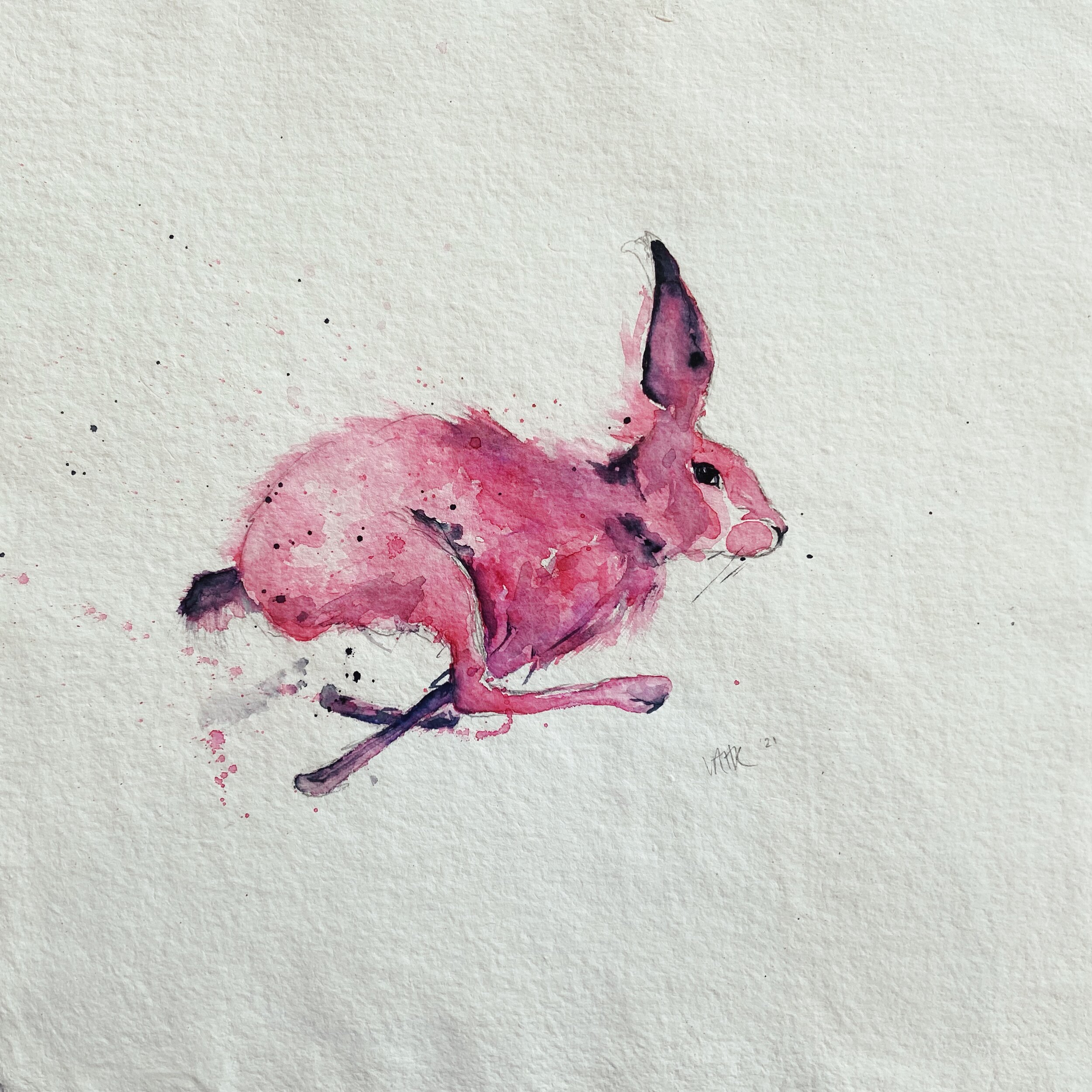 Pink hare illustration