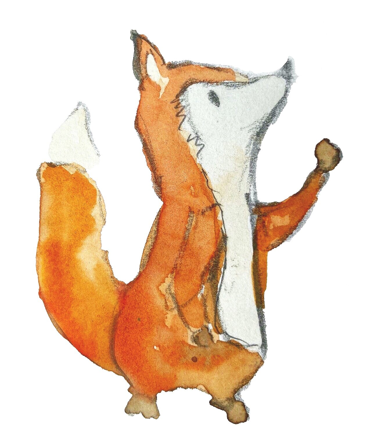 Fox illustration