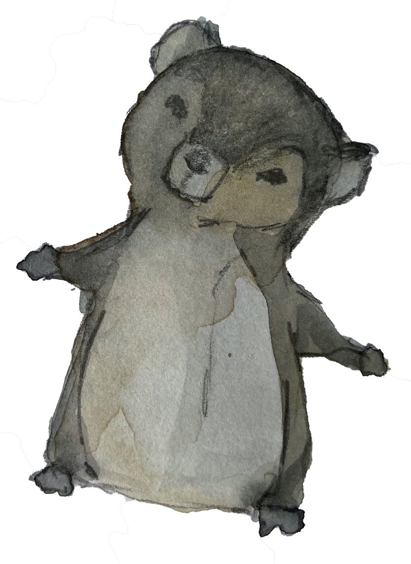 Badger illustration