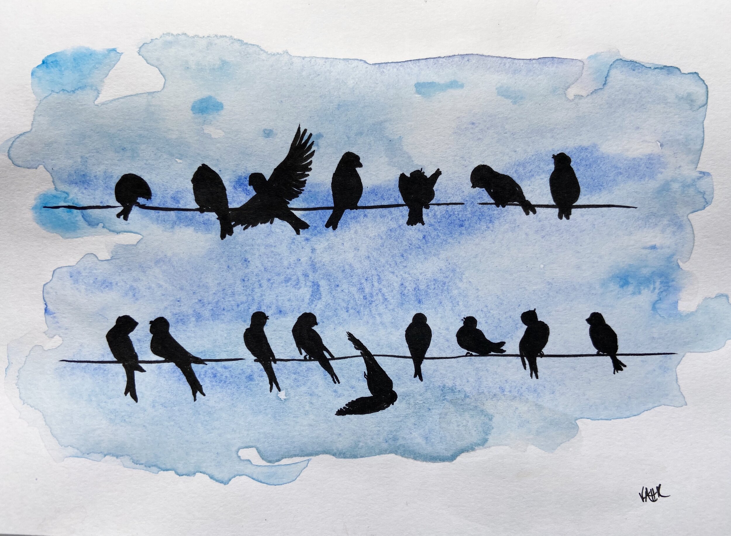 House martins illustration