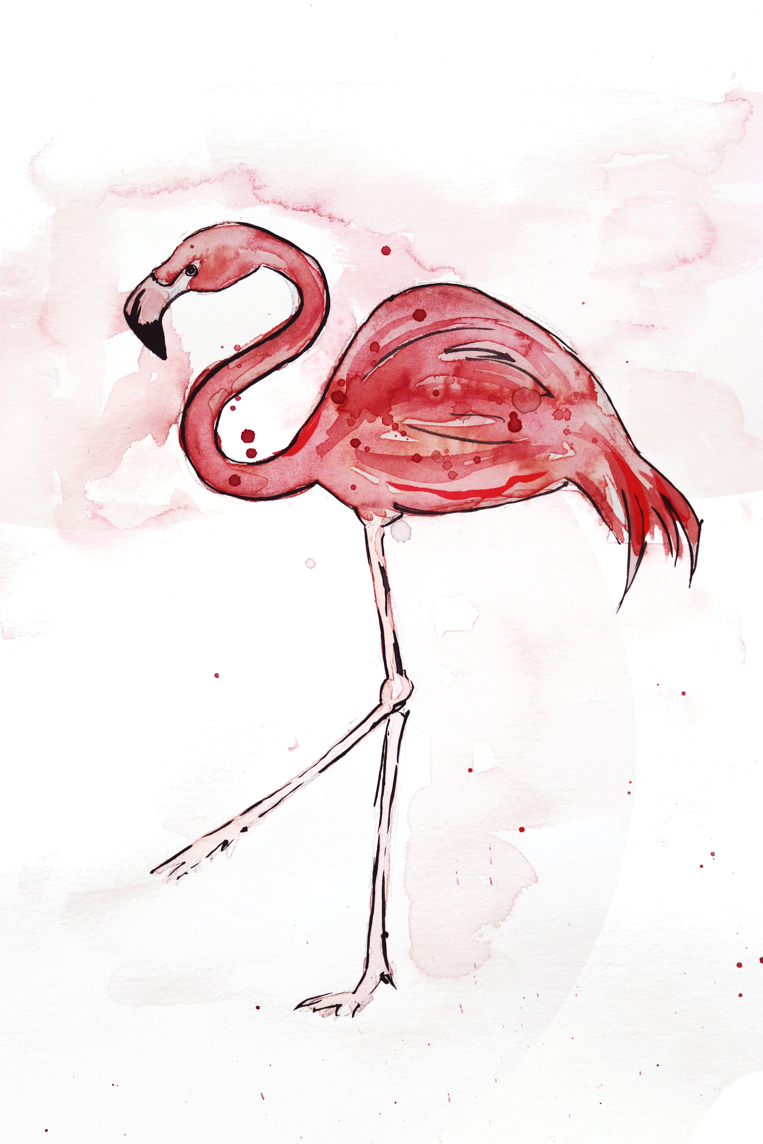 Flamingo walk